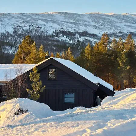 Casa de Férias Elegantes, Ruhiges In Bester Lage Fuer Alle Outdoorfans Randsverk